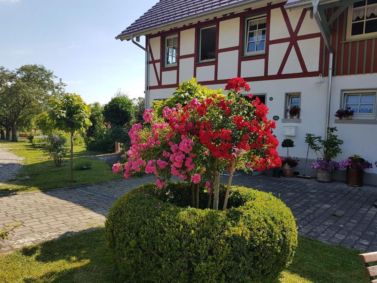 Landgut Apfelrose Hotel ฟรีดริชส์ฮาเฟน ภายนอก รูปภาพ