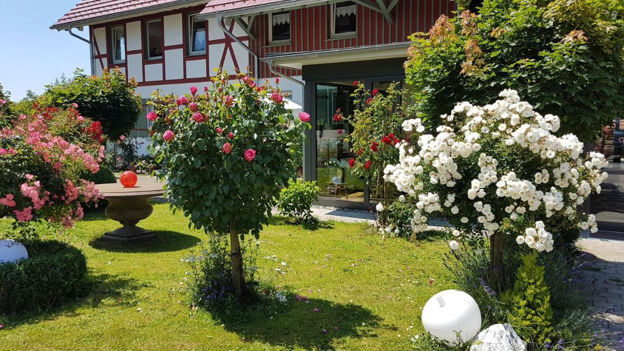 Landgut Apfelrose Hotel ฟรีดริชส์ฮาเฟน ภายนอก รูปภาพ