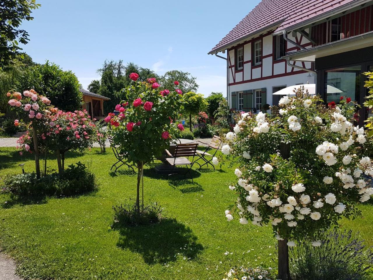 Landgut Apfelrose Hotel ฟรีดริชส์ฮาเฟน ภายนอก รูปภาพ