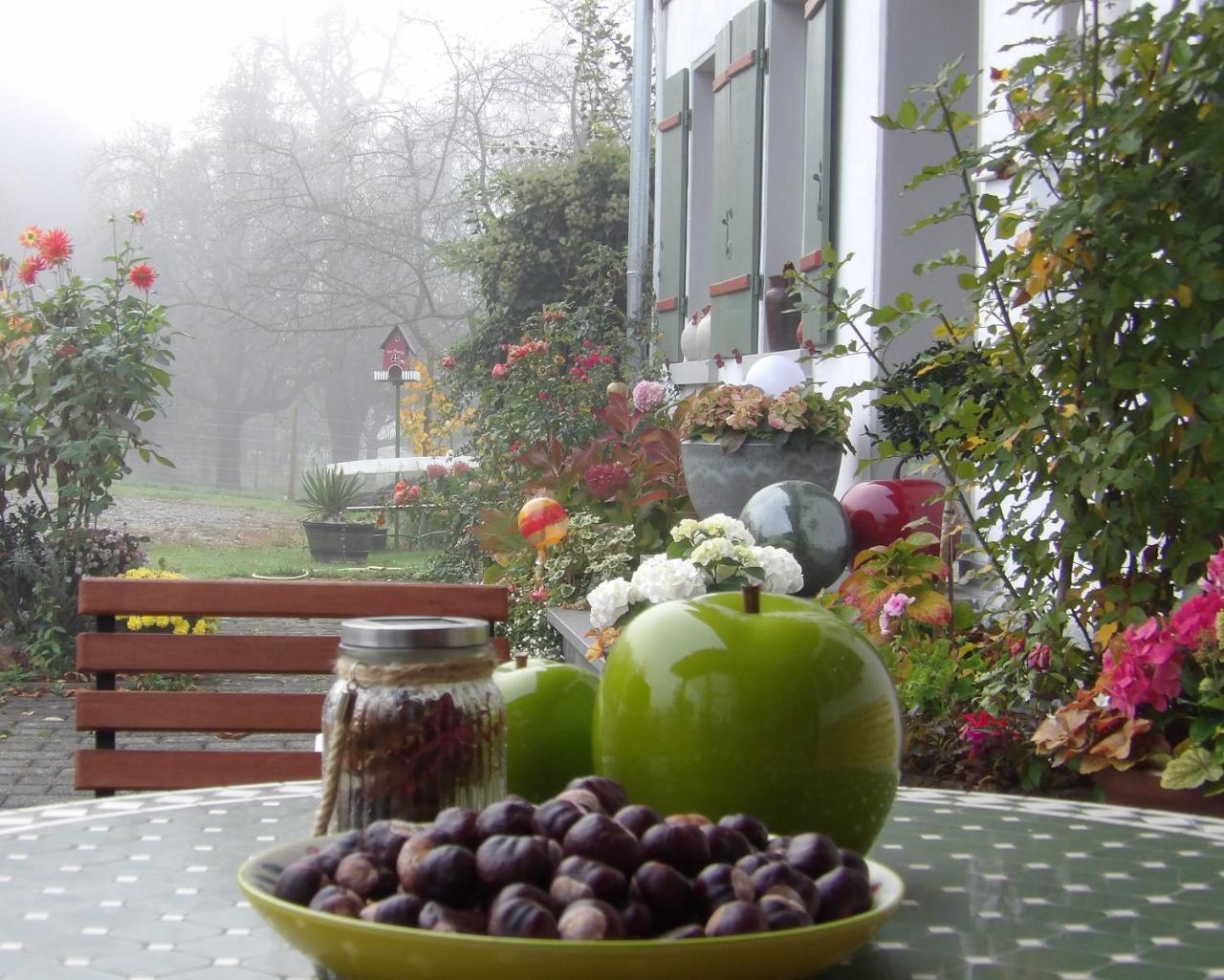 Landgut Apfelrose Hotel ฟรีดริชส์ฮาเฟน ภายนอก รูปภาพ